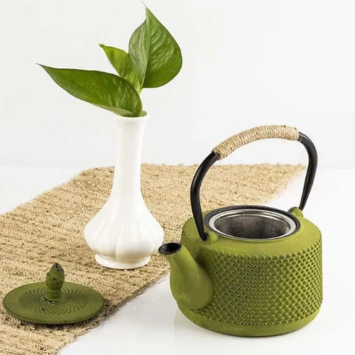 Bunte japanische Gusseisen-Teekanne 850ML