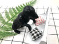 Hund Silikon Teesieb