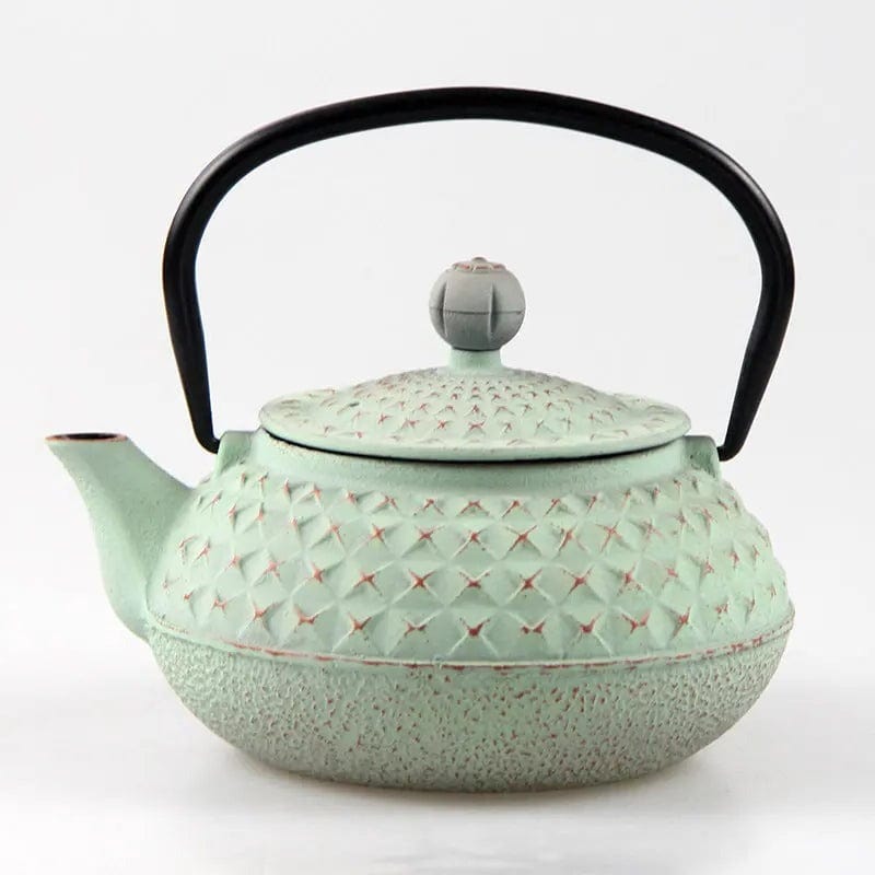 Japanische Gusseisen-Teekanne mit Stacheln 600ml