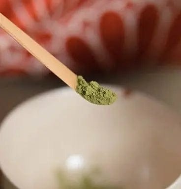 Matcha Bambus-Chashaku