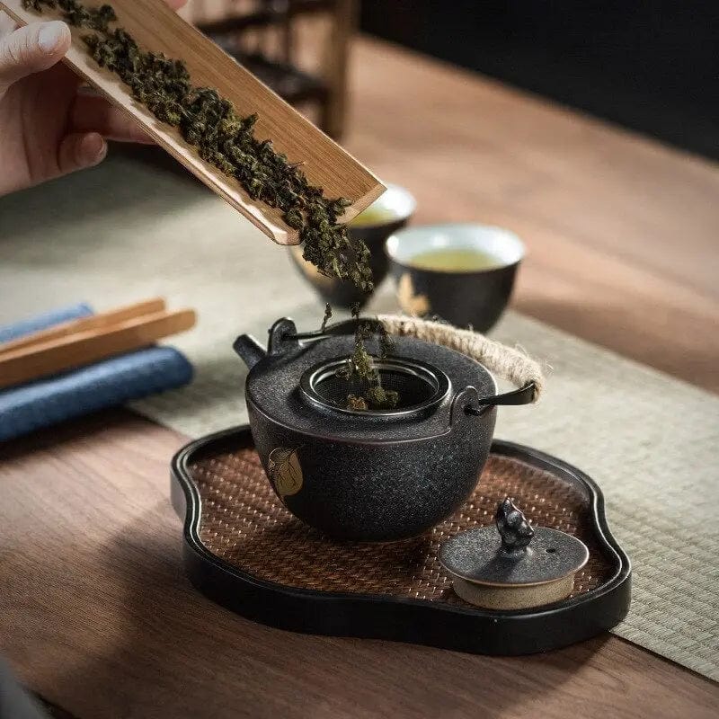 Schwarze chinesische Keramik-Teekanne 300 ml