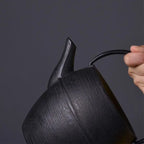 Schwarze japanische Gusseisen-Teekanne 1,1L